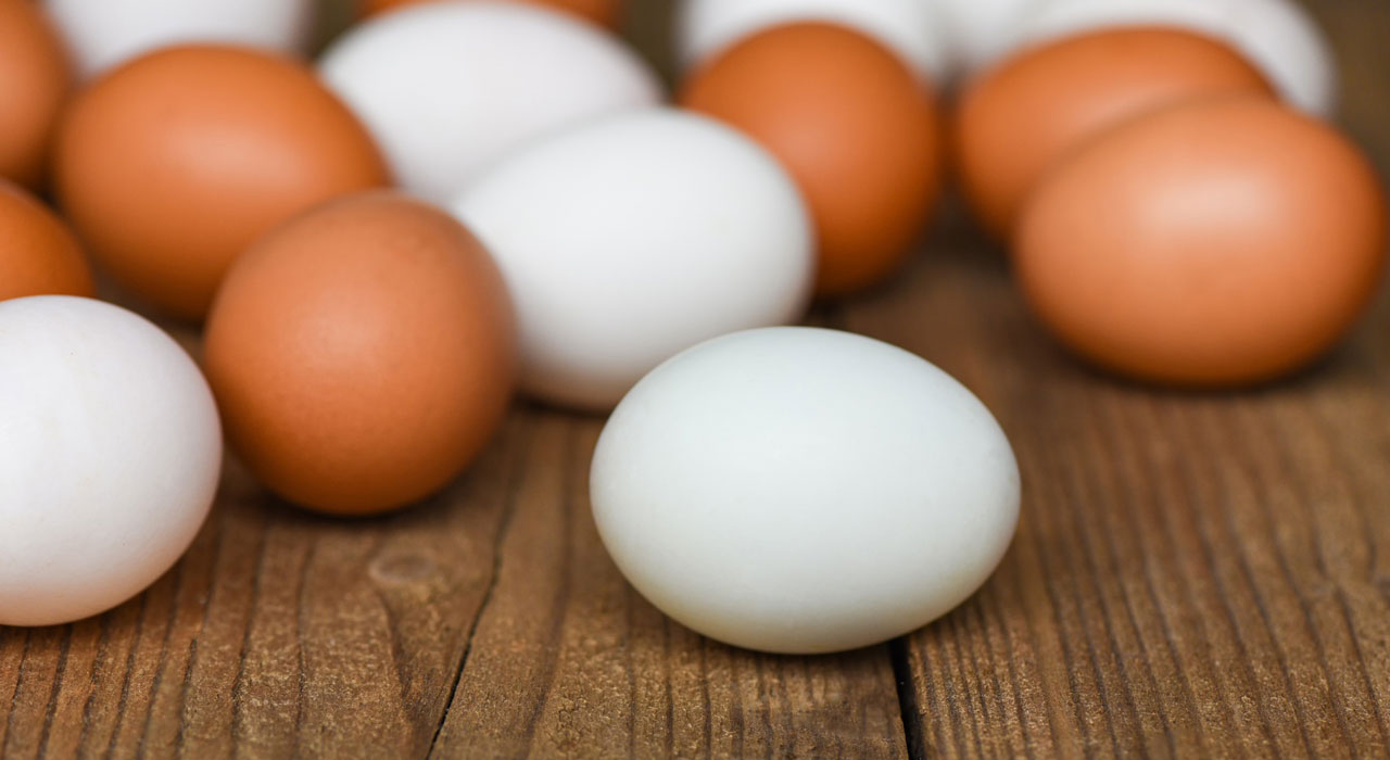 Preguntas y respuestas sobre los huevos de gallina